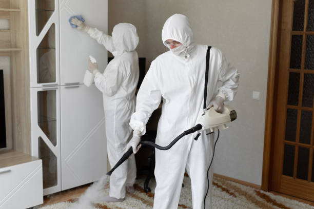 Best Residential Mold Remediation in Fenton, MI